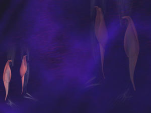 Gastrocnemius Muscle Title Content PowerPoint Template