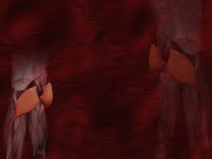 Gluteus Maximus Muscle Title Content PowerPoint Template