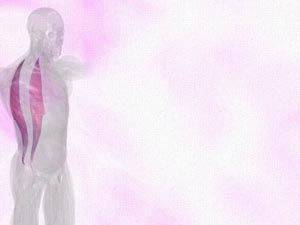 Iliocostalis Muscle Title Content PowerPoint Template