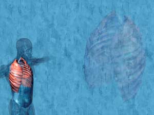 Intercostal Muscle Large Title Content PowerPoint Template