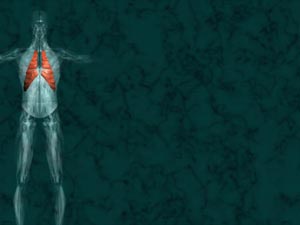 Intercostal Muscle Small Title Content PowerPoint Template