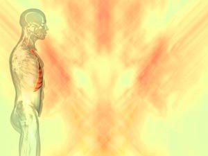 Intercostal Muscle Small Title Content PowerPoint Template