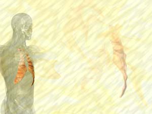 Intercostal Muscle Small Title Content PowerPoint Template