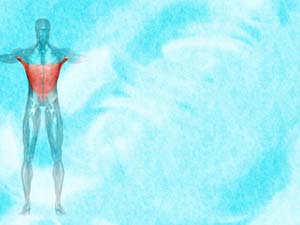 Latissimus Dorsi Muscle Title Content PowerPoint Template