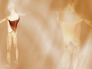 Latissimus Dorsi Muscle Title Content PowerPoint Template