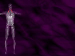 Levator Scapulae Muscle Title Content PowerPoint Template