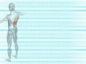 Longissimus Muscle Title Content PowerPoint Template