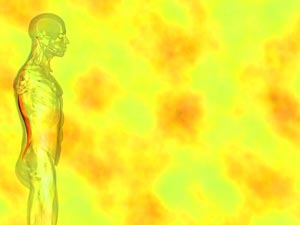 Longissimus Muscle Title Content PowerPoint Template