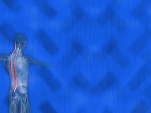 Longissimus Muscle Title Content PowerPoint Template