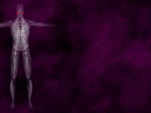 Masseter Muscle (Section Deep) Title Content PowerPoint Template