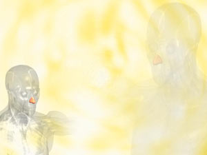 Nasal Cartilage Title Content PowerPoint Template