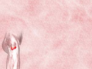 Obturator Externus Muscle Title Content PowerPoint Template