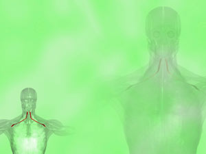 Omohyoid Muscle Title Content PowerPoint Template