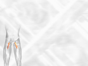 Pectineus Muscle Title Content PowerPoint Template