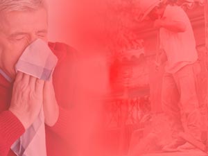 Dust Mite Allergy Title Content PowerPoint Template