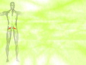 Piriformis Muscle Title Content PowerPoint Template