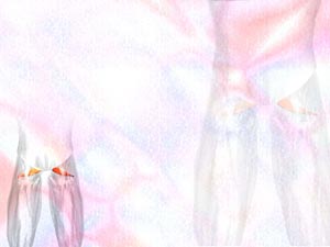 Piriformis Muscle Title Content PowerPoint Template