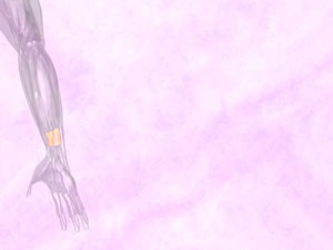 Pronator Quadratus Muscle Title Content PowerPoint Template