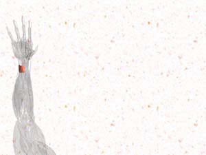 Pronator Quadratus Muscle Title Content PowerPoint Template