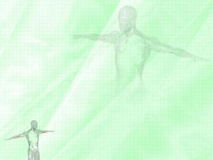 Pronator Teres Muscle Title Content PowerPoint Template