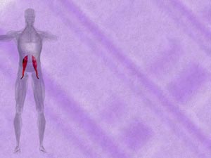 Psoas Major Muscle Title Content PowerPoint Template