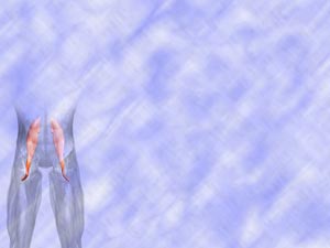 Psoas Major Muscle Title Content PowerPoint Template