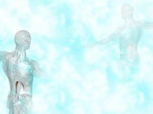 Psoas Minor Muscle Title Content PowerPoint Template