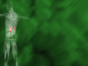 Quadratus Lumborum Muscle Title Content PowerPoint Template