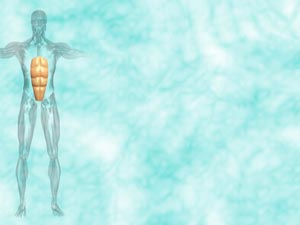 Rectus Abdominis Muscle Title Content PowerPoint Template