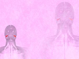 Risorius Muscle Title Content PowerPoint Template