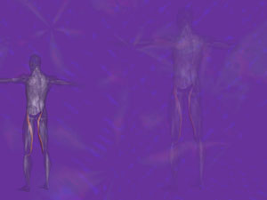 Sartorius Muscle Title Content PowerPoint Template